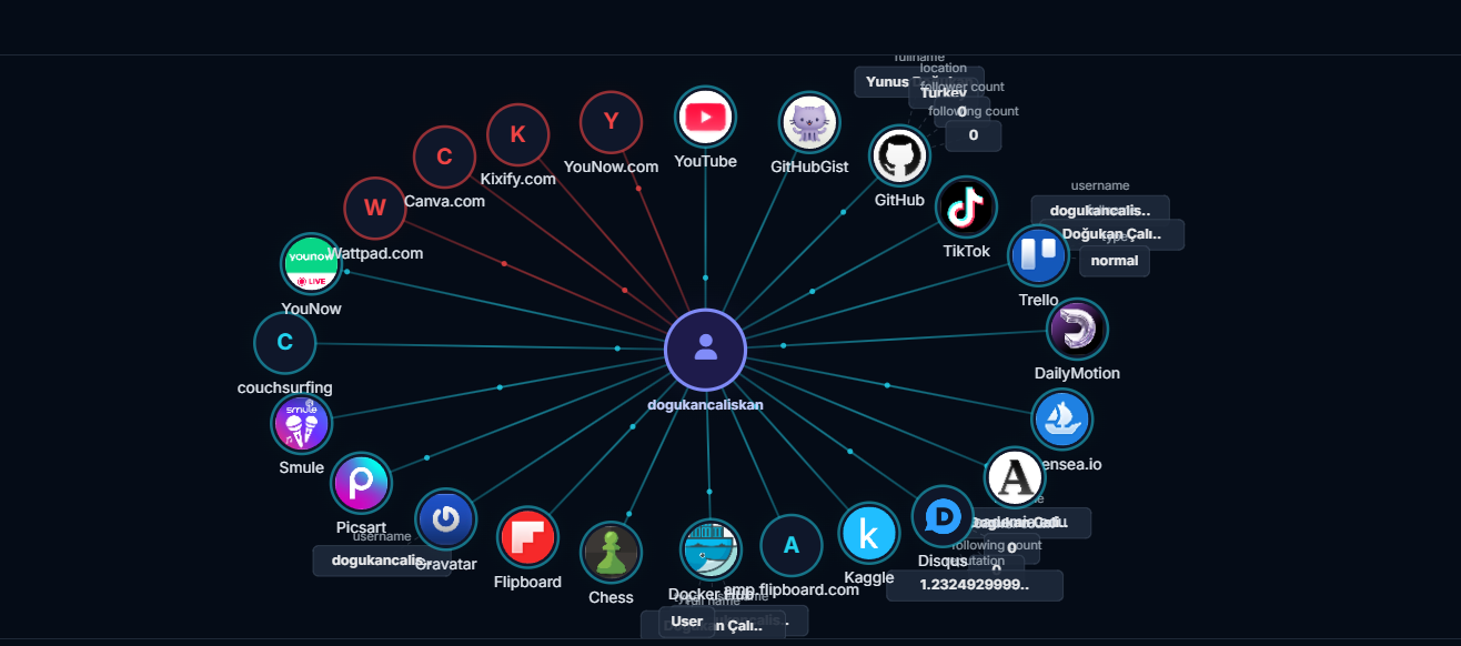Network Graph