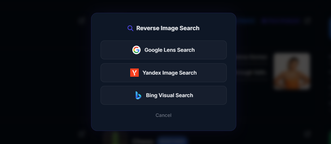 Reverse Image Search